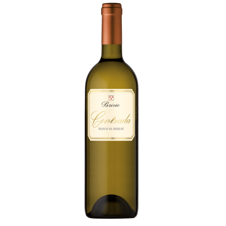 BRIVIO Contrada Ticino DOC