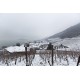 ANNE-CLAIRE SCHOTT Blanc « Aroma Der Landschaft » AOC Bierlersee