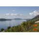 ANNE-CLAIRE SCHOTT Blanc « Aroma Der Landschaft » AOC Bierlersee