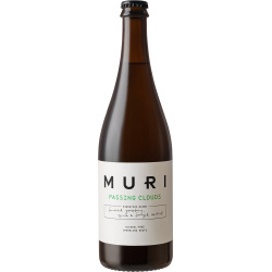 MURI Passing Clouds