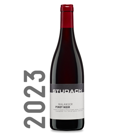 Thomas Studach | Pinot Noir « Malanser » AOC Graubünden