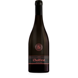 WEINGUT BESSON-STRASSER Cholfirst Pinot Noir Village AOC Zurich