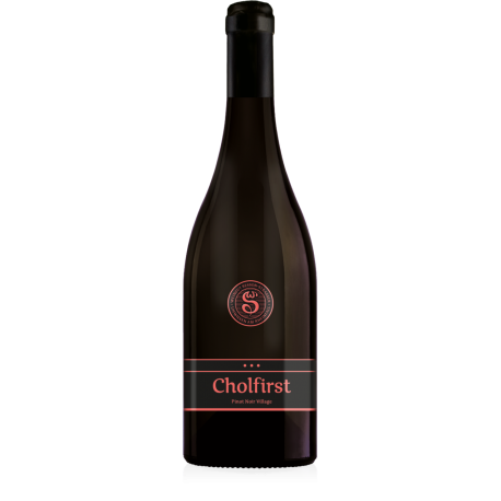 WEINGUT BESSON-STRASSER Cholfirst Pinot Noir Village AOC Zurich