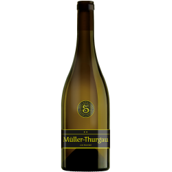 WEINGUT BESSON-STRASSER Müller-Thurgau Vom Rheinfall AOC Zurich