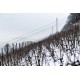 ANNE-CLAIRE SCHOTT Blanc « Aroma Der Landschaft » AOC Bierlersee